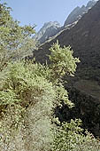 The Inca Trail towards the Dead Woman pass 